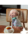 Personalized Double-Sided Pet Photo Pillow